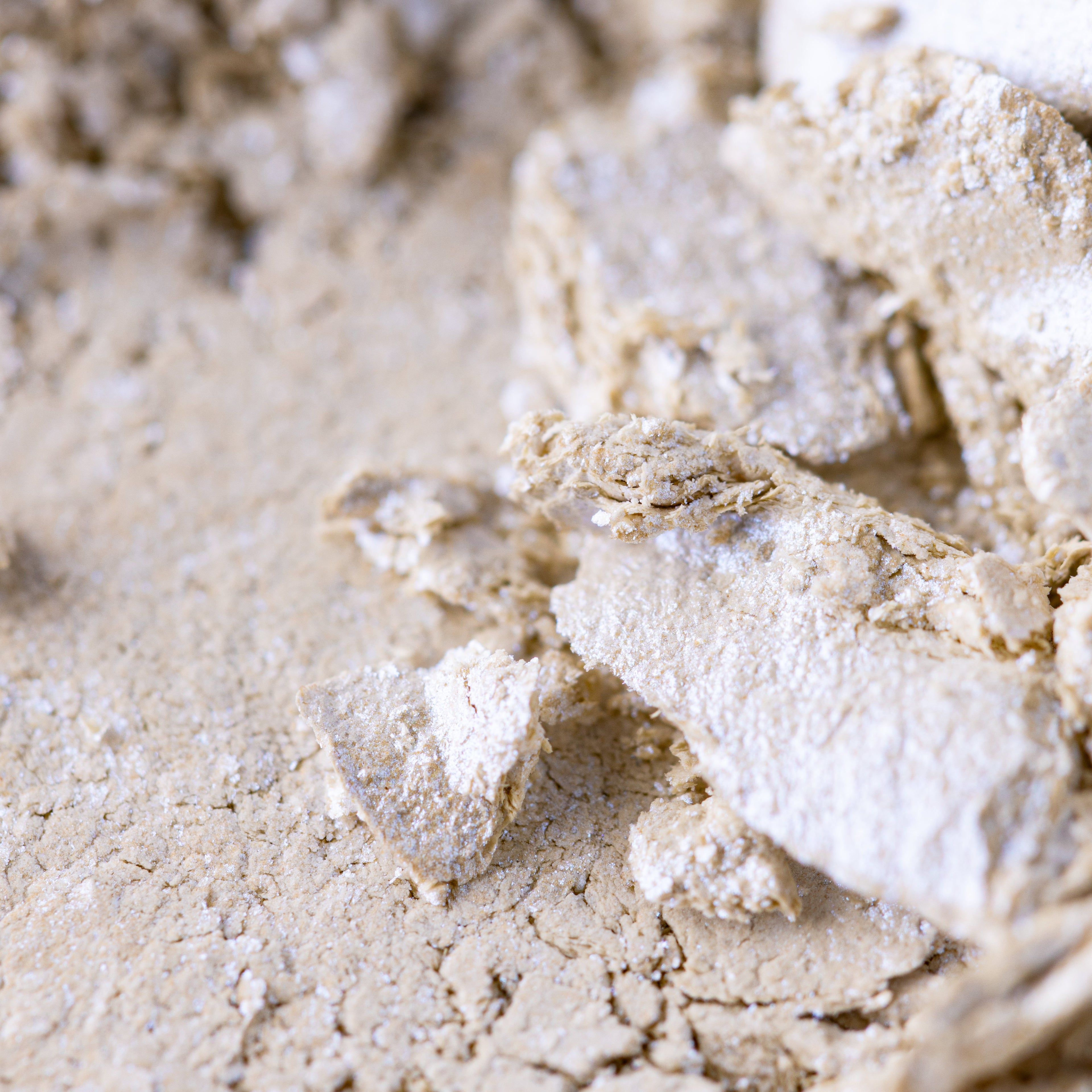 Highlighter - Space Baby - Lunautics Highlighter