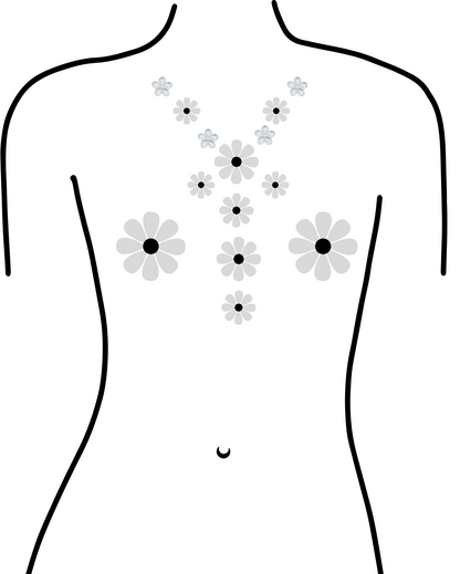 Disco Daisy- Holographic Pasties &amp; Body Stickers - Lunautics Body Jewel